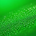 Eco Nature Background with Grass, Sun and Waterdrops Royalty Free Stock Photo