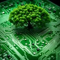 Green tree growing on a green electronic computer board Royalty Free Stock Photo