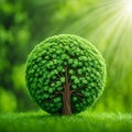 A small green round tree, plant, sprout, growing on the grass on a green nature bg Royalty Free Stock Photo