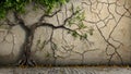 cracked wall on which trees are painted on a textured background with copy space, wallpaper Royalty Free Stock Photo