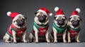 Christmas pugs in red Santa hats Royalty Free Stock Photo