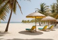Beautiful tropical coast with golden sand, palm trees, sun loungers and umbrellas Royalty Free Stock Photo