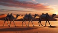 A desert with camels walking under a setting sun Royalty Free Stock Photo