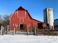 Old historical barn still sheltering a herd of cattle Royalty Free Stock Photo