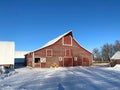 An old barn currently housing a flock of sheep Royalty Free Stock Photo