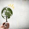 A hand holds a small pot with a tree that forms the shape of a globe, illustrating ecoconsciousness Royalty Free Stock Photo