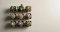 Minimal Top View of Small Potted Cacti on Neutral Surface with Clean Empty Space for Text Royalty Free Stock Photo
