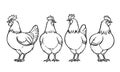 Vintage hand-drawn illustration of four chickens standing in a row, farm poultry sketch in rustic style Royalty Free Stock Photo