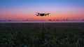 Drone Flying Over Field at Sunrise Agricultural Technology and Modern Farming Royalty Free Stock Photo