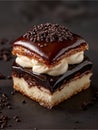 A layered dessert featuring a sponge cake base topped with a glossy chocolate layer, rich cream, and a shiny caramelized top. Royalty Free Stock Photo