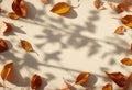 Golden Autumn Leaves with Soft Shadows on Beige Background Royalty Free Stock Photo