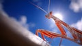 Metallic Praying Mantis Against Bright Sun and Blue Sky Royalty Free Stock Photo