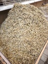 Dried fish pile close-up showcasing flavor texture and traditional culinary charm Royalty Free Stock Photo