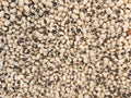 Close-up of Black-Eyed Peas Beans with Natural Pattern, Organic Protein Source Royalty Free Stock Photo