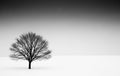 A solitary, leafless tree stands against a stark winter landscape.AI Royalty Free Stock Photo