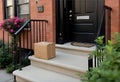 Cardboard delivery package on front porch steps near house door Royalty Free Stock Photo