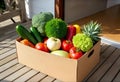 Fresh assorted vegetables neatly packed in cardboard delivery box Royalty Free Stock Photo
