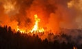 A wildfire rages through a forest, with large flames and thick smoke engulfing the trees Royalty Free Stock Photo