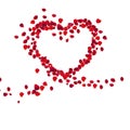 Red rose petals (Rosa spp.) form the shape of a heart on a white background. The petals are scattered Royalty Free Stock Photo