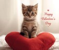 Romantic Kitten On Heart-Shaped Pillow Royalty Free Stock Photo