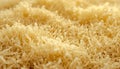 A close-up view of a textured, yellow, fibrous material with a sponge-like appearance. Royalty Free Stock Photo