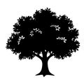 Blooming fruit tree silhouette icon, spring orchard tree with flowers for renewal, harvest, and garden themes. Royalty Free Stock Photo