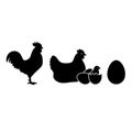 Chicken Life Cycle Silhouette Set: Egg, Hatching, Chick, Adult. Full Black Filled Vector Icons EPS. Royalty Free Stock Photo