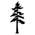 Windswept Mountain Pine Tree Silhouette Vector, Alpine, Harsh Weather, Resilient Royalty Free Stock Photo