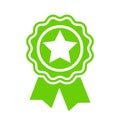 Green award ribbon icon