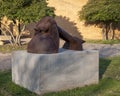 `Untitled` by Patrick Woodruff on the campus of the University of North Texas located in the City of Denton, Texas.