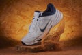 Nike trainer product image.