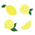 Set of hand drawn lemons, whole, half and slices with a leaves, cartoon style, raster