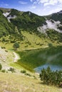 Untouched nature, surrounding Satorsko lake