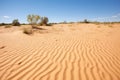 untouched sand dunes in a secluded desert reserve