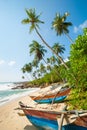 Untouched tropical beach Royalty Free Stock Photo