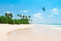 Untouched tropical beach. Empty vacation island coast with palm trees and hot air balloon