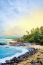 Untouched tropical beach with palms in Mirissa