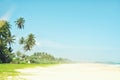 Untouched tropical beach in Sri Lanka. Beautiful beach with nobody, palm trees and golden sand. Blue sea. Summer background. Royalty Free Stock Photo