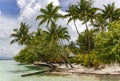 Untouched wild and beautiful nature of the islands of French Polynesia.