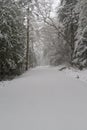 An untraveled road in winter covered in fresh snow Royalty Free Stock Photo