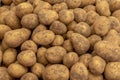 Untreated Bio potatoes on sale at a farmers market stall