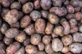 Untreated Bio potatoes on sale at a farmers market. Royalty Free Stock Photo