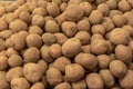 Untreated fresh BIO potatoes for sale at a farmers market