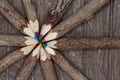 untreated wood crayons with tree bark on a wooden board in a circle with many different colors like yellow, blue and red for