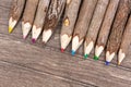 untreated wood crayons with tree bark on a wooden board in a circle with many different colors like yellow, blue and red for