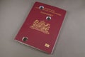 Unusable perforated damaged Dutch passport - Nederlands Paspoort