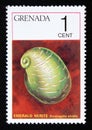 Unused post stamp Grenada 1975, Emerald Nerite, Smaragdia viridis