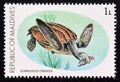 Unused post stamp Maldives 1980, Leatherback Sea Turtle, Dermochelys coriacea Royalty Free Stock Photo