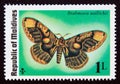 Unused post stamp Maldives 1975, Owl Moth, Brahmaea wallichii butterfly Royalty Free Stock Photo