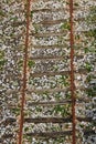 Unused railway tracks on wooden sleepers